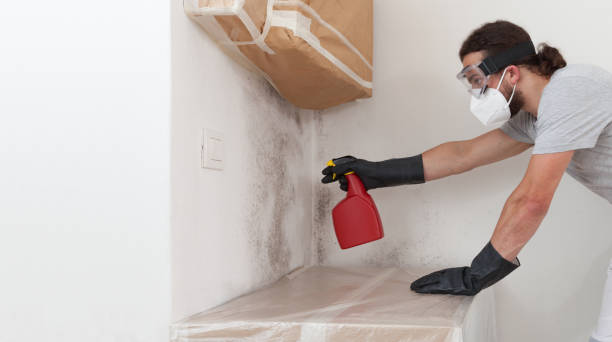 Professional Attic Mold Remediation technician working in Wallops Island, VA
